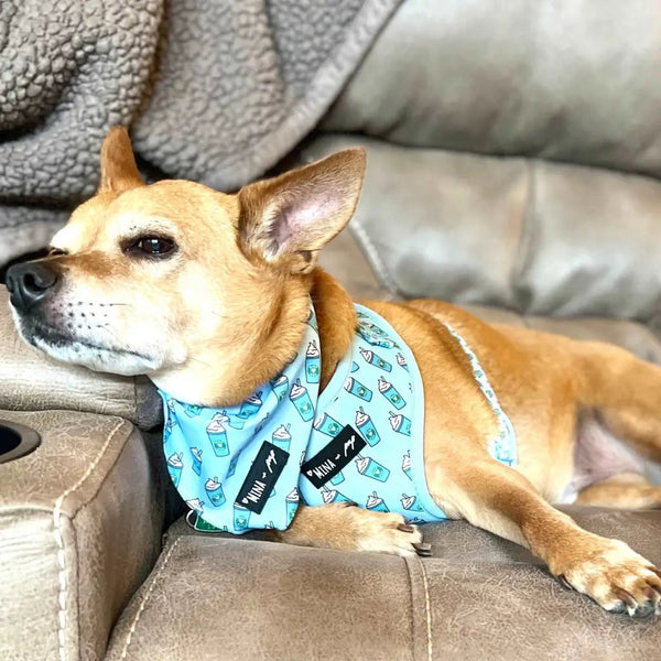 Blue Pupshake Adjustable Harness - Pet Collars & Harnesses