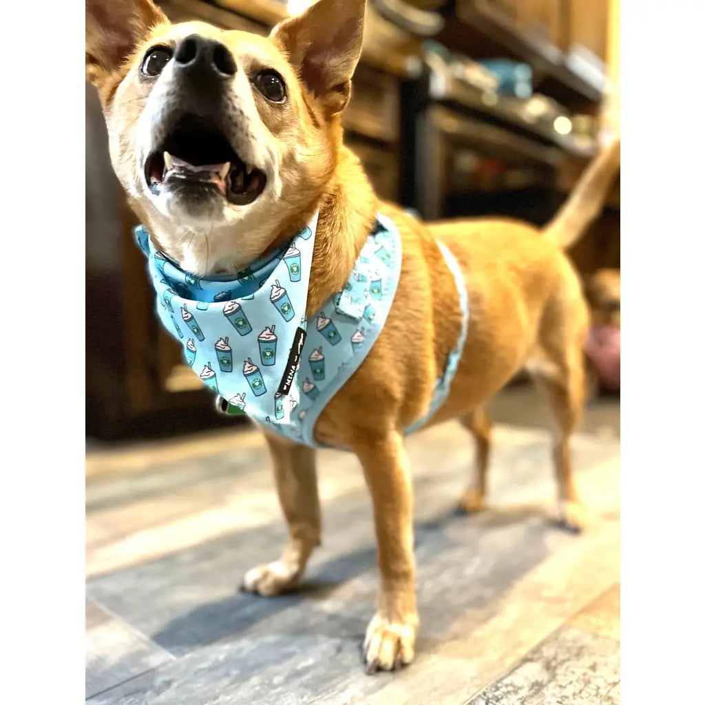 When the weather gets hot keep your pup cool in our fun Blue Pupshake Cooling Bandana Soak cold water squeeze