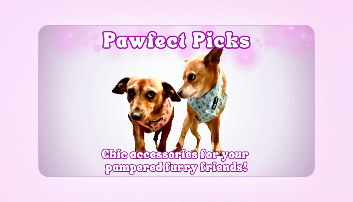 Pawfect Picks at Sweet Roo Bou featuring Sweet Roxy Roo's favorite boutique pet accessories made for pampered furry friends. Chic comfort and charm for your own four-legged fave.