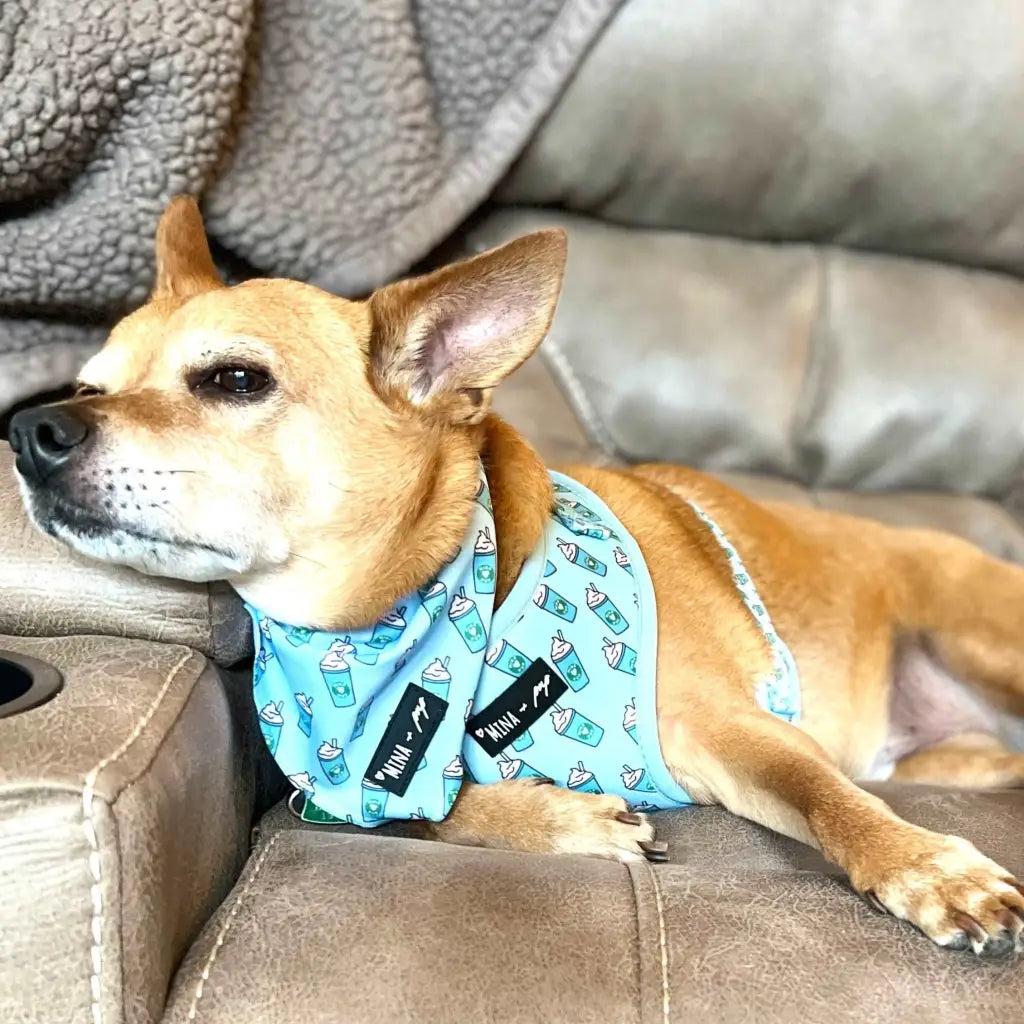 Raise your paw if you love coffee! This yummy and fun pattern features a beautiful blue background covered