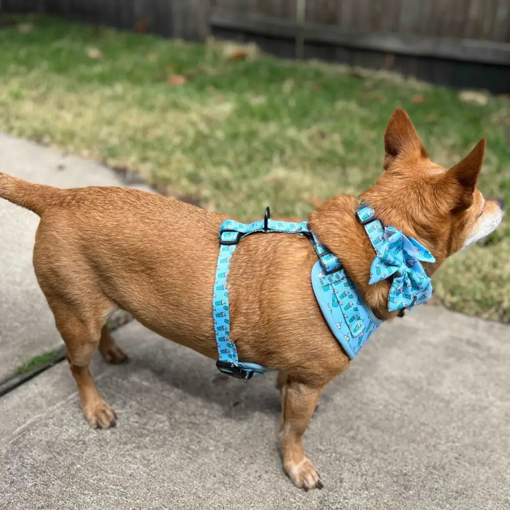 Raise your paw if you love coffee! This yummy and fun pattern features a beautiful blue background covered