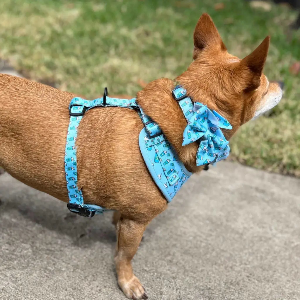 Add some extra style and flare with this classy bow tie Secures in the back a velcro strap to go over your pet’s collar