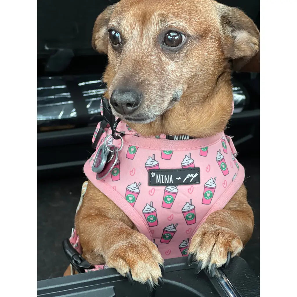 Raise your paw if you love coffee! This yummy and fun pattern which includes a beautiful pink background covered