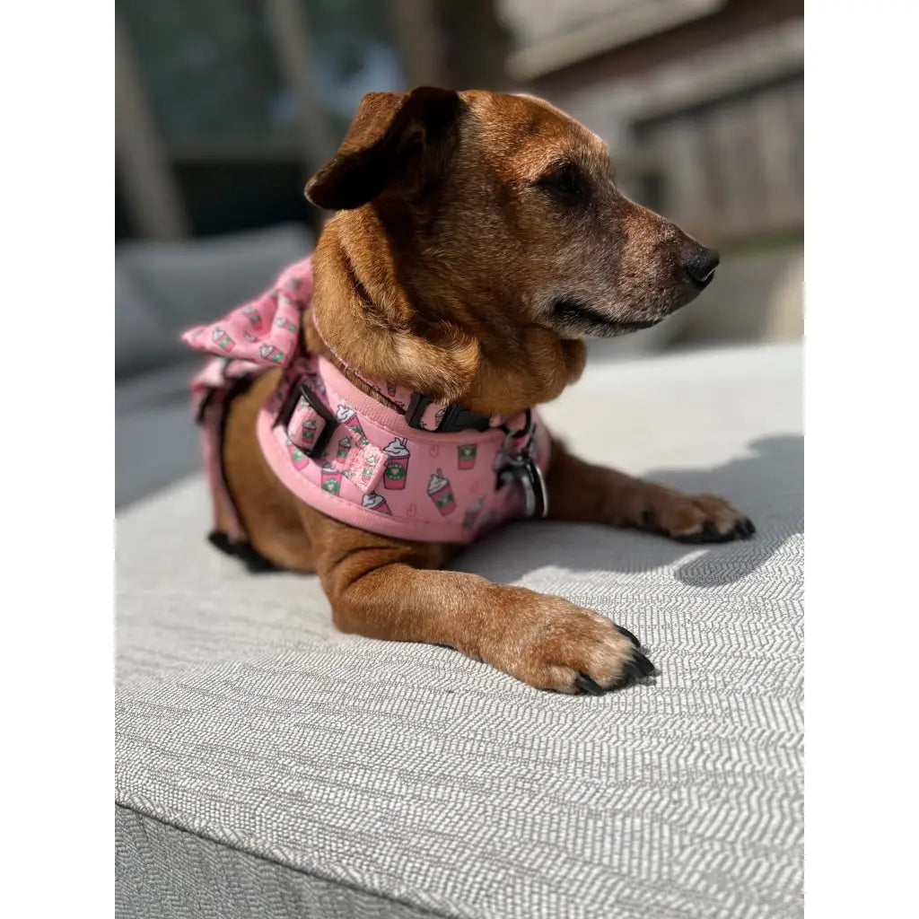 Raise your paw if you love coffee! This yummy and fun pattern which includes a beautiful pink background covered