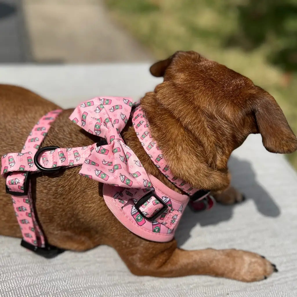 Raise your paw if you love coffee! This yummy and fun pattern which includes a beautiful pink background covered