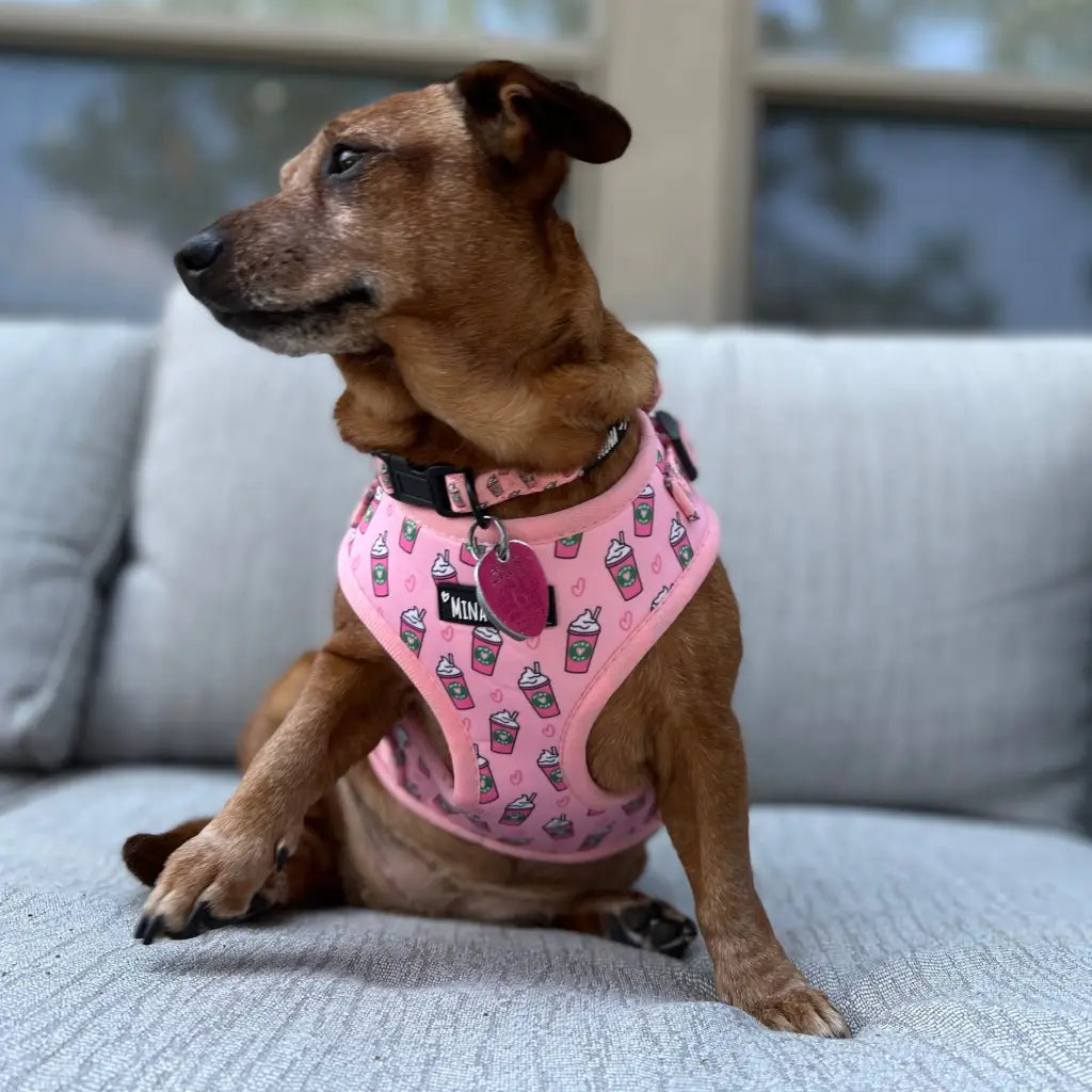 Raise your paw if you love coffee! This yummy and fun pattern which includes a beautiful pink background covered