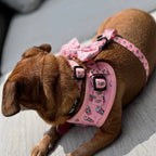 Raise your paw if you love coffee! This yummy and fun pattern which includes a beautiful pink background covered