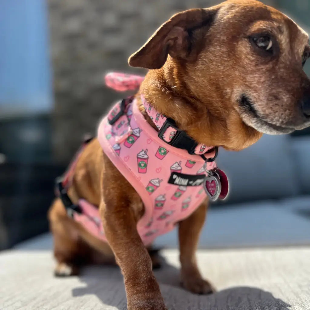 Raise your paw if you love coffee! This yummy and fun pattern which includes a beautiful pink background covered
