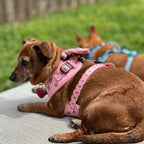 Raise your paw if you love coffee! This yummy and fun pattern which includes a beautiful pink background covered