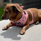 Raise your paw if you love coffee! This yummy and fun pattern which includes a beautiful pink background covered