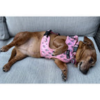 Raise your paw if you love coffee! This yummy and fun pattern which includes a beautiful pink background covered