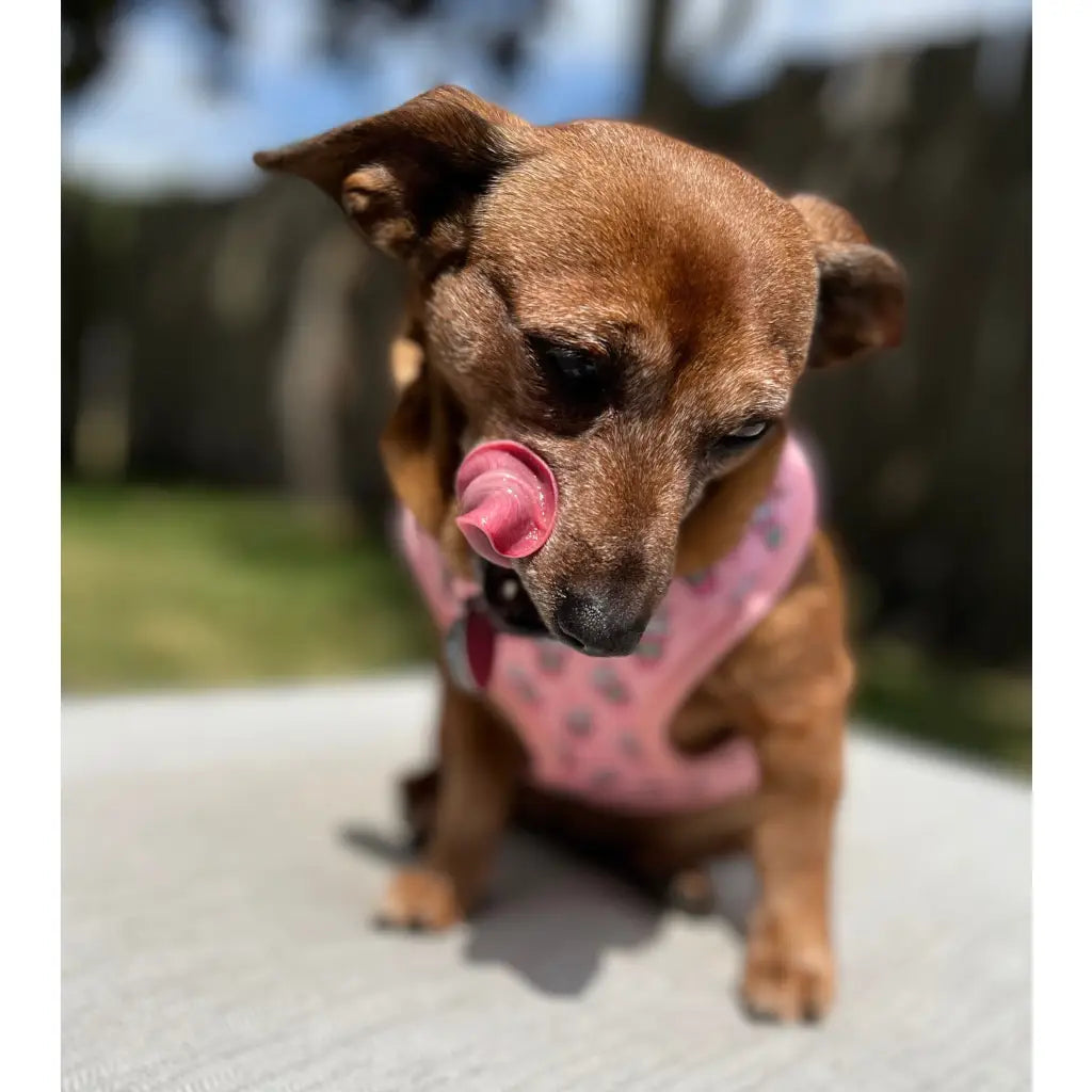 Raise your paw if you love coffee! This yummy and fun pattern which includes a beautiful pink background covered