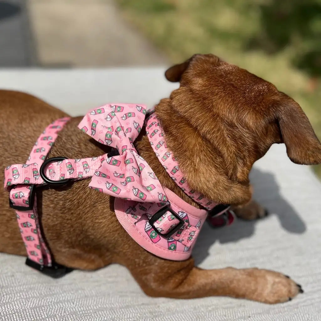 Add some extra style and flare with this classy bow tie Secures in the back a velcro strap to go over your pet’s collar