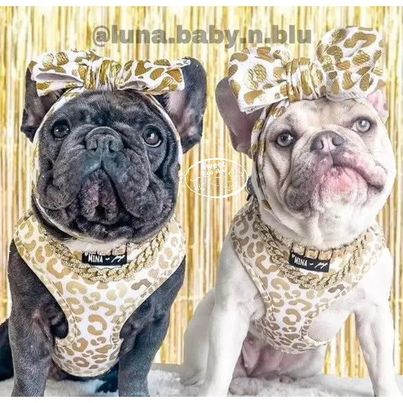 Adorn your pet with glamour galore in this stunning golden and white ombre cheetah print adjustable harness. Due